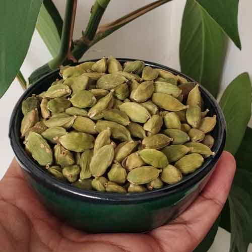 هل سبز اعلا تازه و با کیفیت